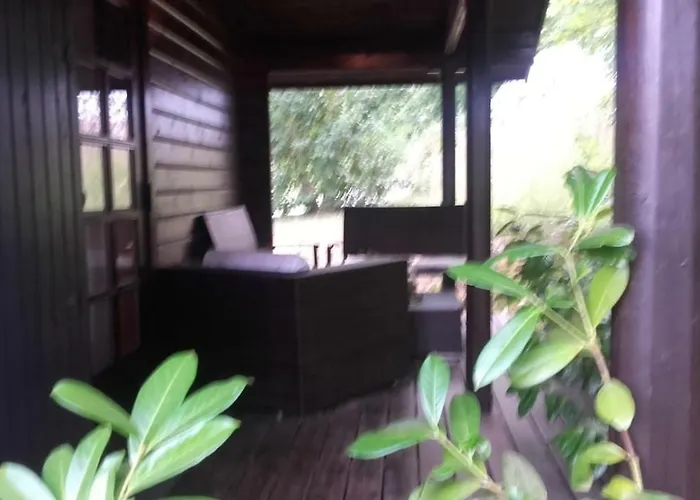 Apartment Nr. 52 Im Am Twistesee Bad Arolsen